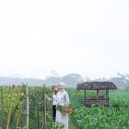 Hotel Balkondes Karanganyar Borobudur Magelang Exterior foto